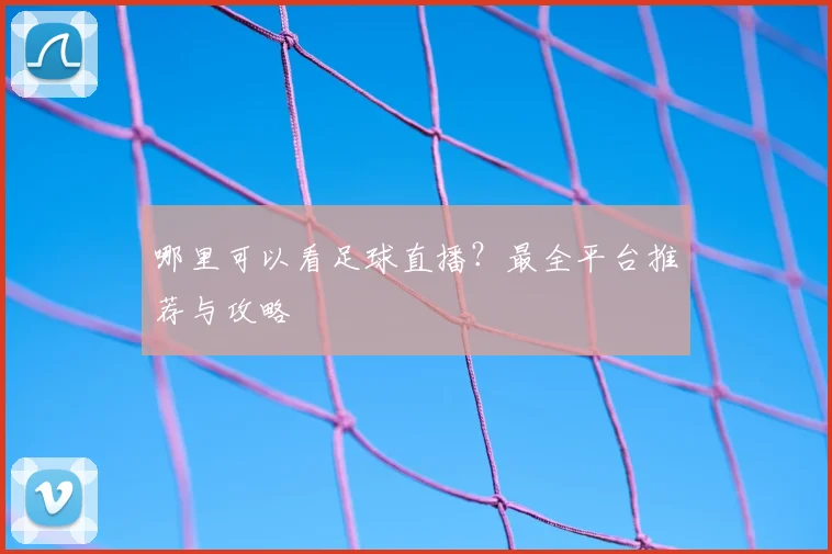 哪里可以看足球直播？最全平台推荐与攻略